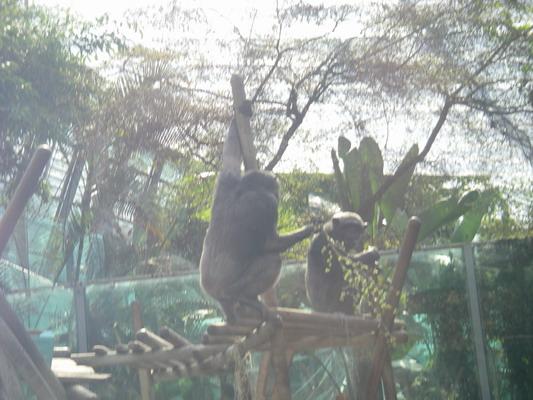 IMGP3282.JPG - .