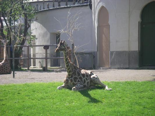 IMGP3286.JPG - .