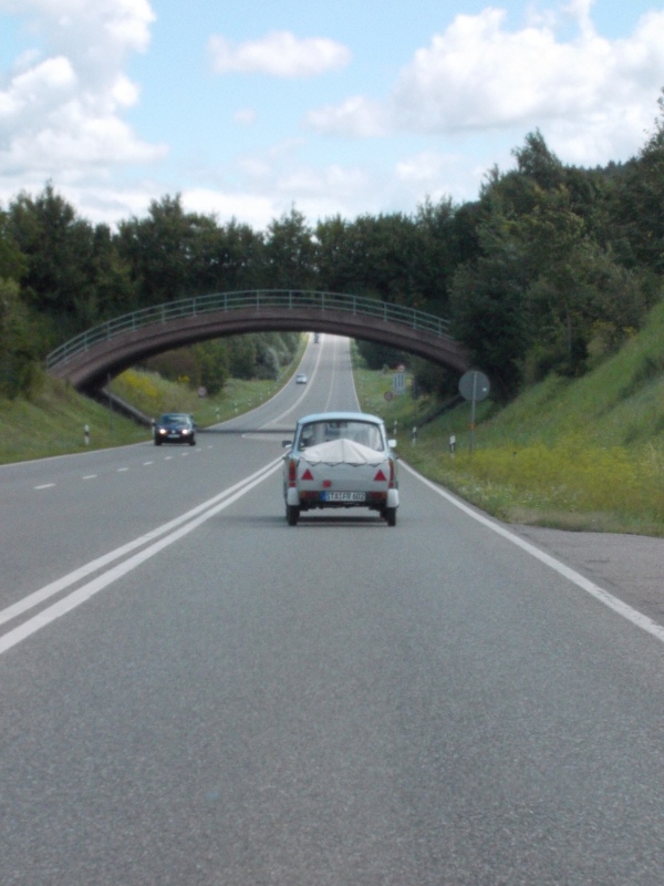 DSCN0250.jpg