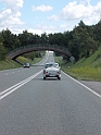 DSCN0250