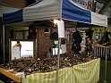 IMGP3596