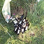 DSCF1249